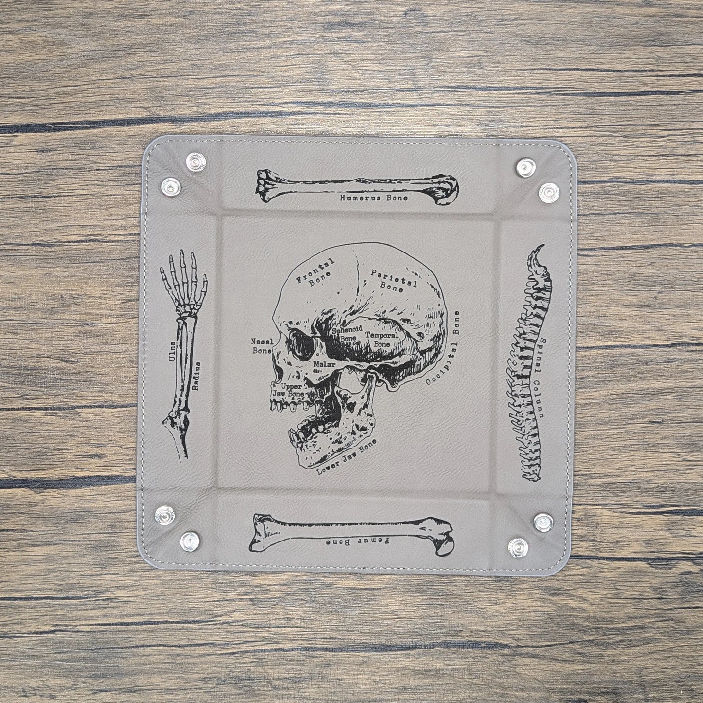 Anatomy Dice Tray | Tabletop RPG Accessories