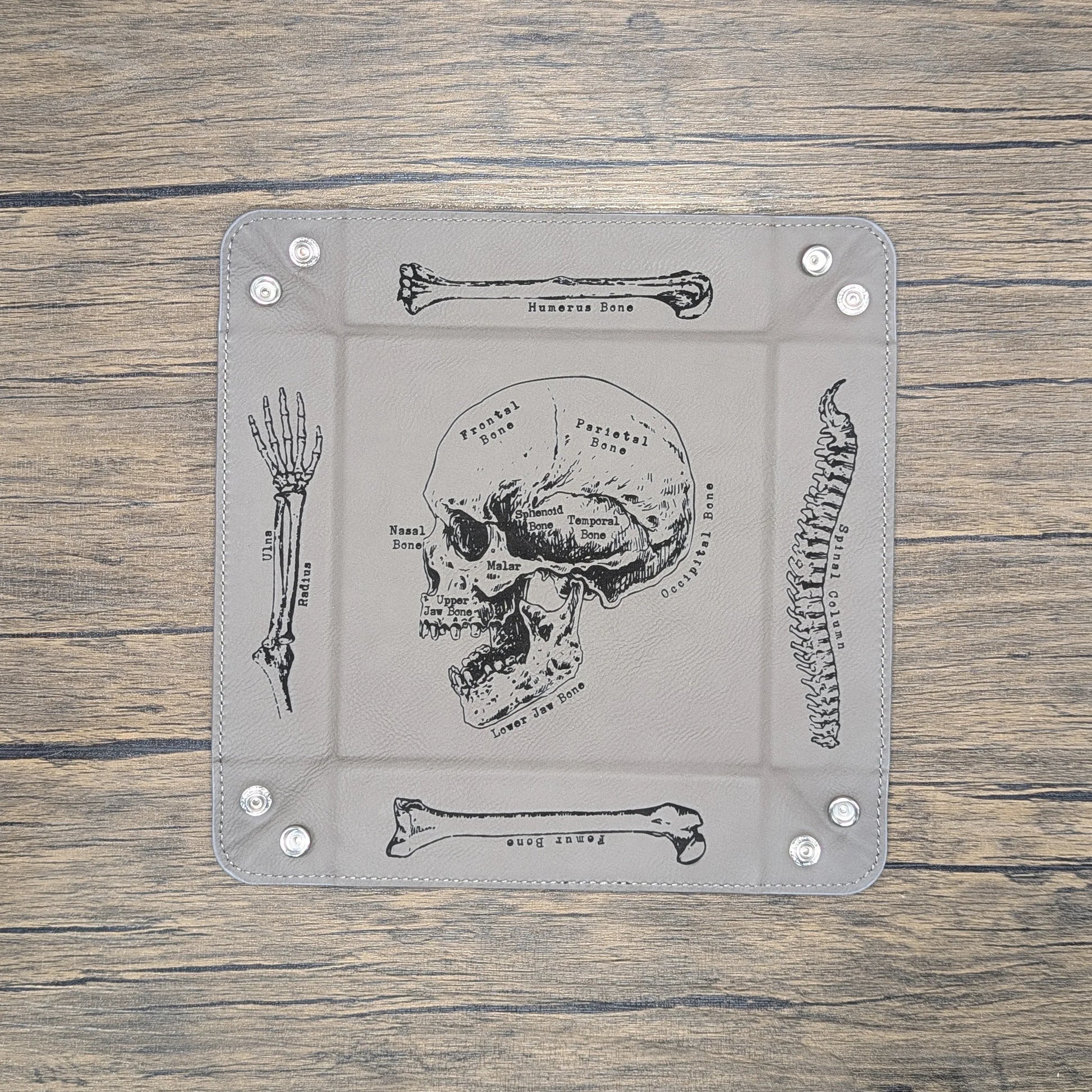 Anatomy Dice Tray | Tabletop RPG Accessories