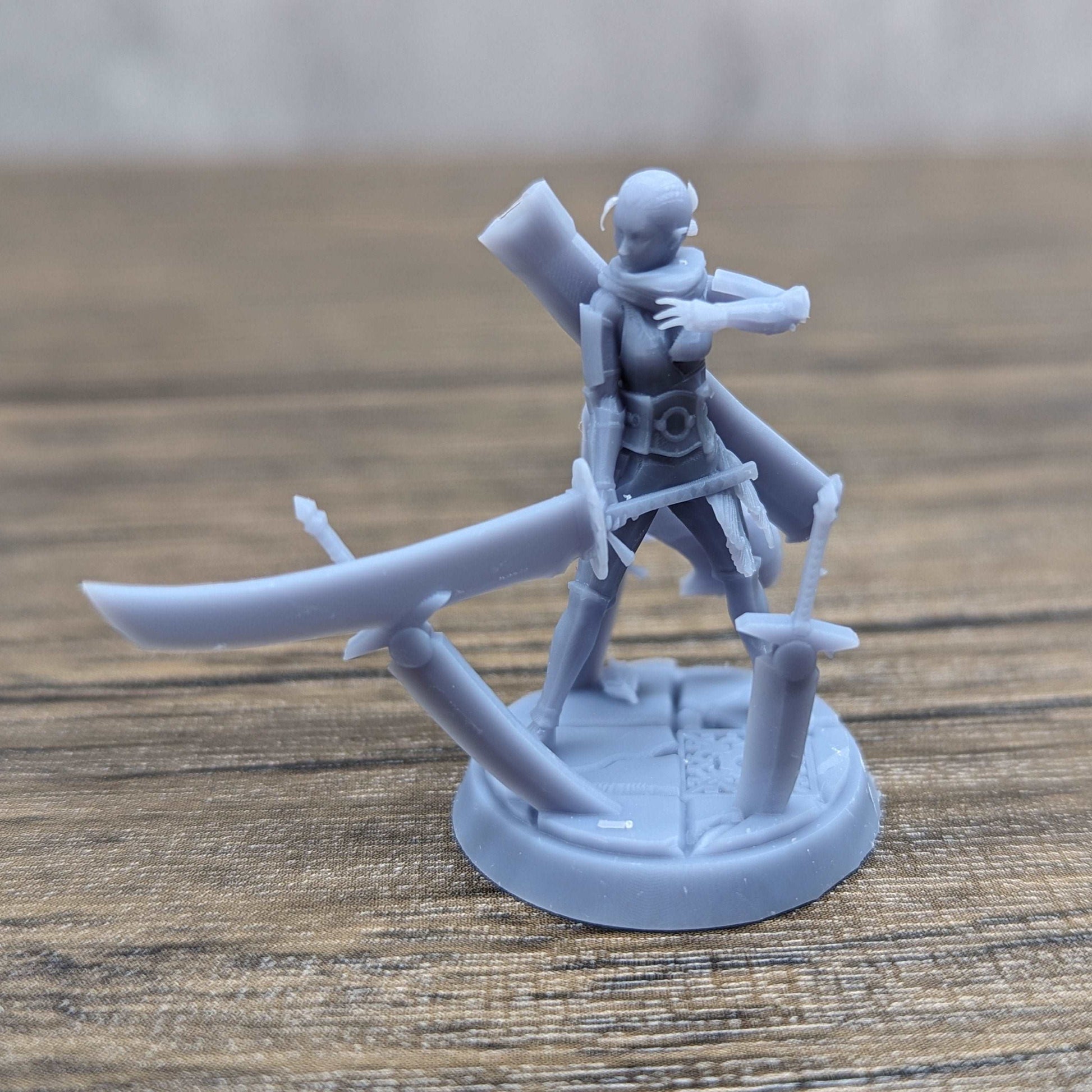 Impa - Legend of Zelda: Hyrule Warriors | RPG Zelda Tabletop Miniature